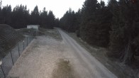 Archiv Foto Webcam Stein 16 am Wanderweg Rennsteig 19:00
