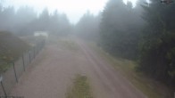 Archiv Foto Webcam Stein 16 am Wanderweg Rennsteig 08:00