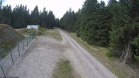 Archiv Foto Webcam Stein 16 am Wanderweg Rennsteig 15:00