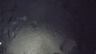 Archiv Foto Webcam Stein 16 am Wanderweg Rennsteig 05:00