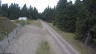 Archiv Foto Webcam Stein 16 am Wanderweg Rennsteig 15:00
