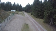 Archiv Foto Webcam Stein 16 am Wanderweg Rennsteig 17:00