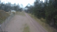 Archiv Foto Webcam Stein 16 am Wanderweg Rennsteig 11:00
