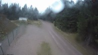Archiv Foto Webcam Stein 16 am Wanderweg Rennsteig 17:00