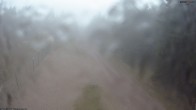 Archiv Foto Webcam Stein 16 am Wanderweg Rennsteig 07:00