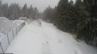 Archived image Webcam Hiking trail Rennsteig 11:00