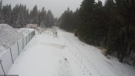 Archived image Webcam Hiking trail Rennsteig 13:00