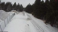 Archived image Webcam Hiking trail Rennsteig 15:00