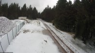 Archiv Foto Webcam Stein 16 am Wanderweg Rennsteig 11:00