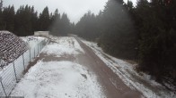 Archiv Foto Webcam Stein 16 am Wanderweg Rennsteig 15:00