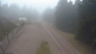 Archiv Foto Webcam Stein 16 am Wanderweg Rennsteig 11:00