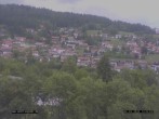 Archived image Webcam Village - Sankt Englmar 11:00
