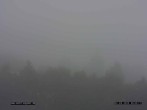 Archiv Foto Webcam Sankt Englmare Ortsblick 06:00