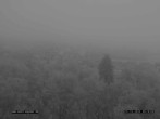 Archiv Foto Webcam Sankt Englmare Ortsblick 07:00