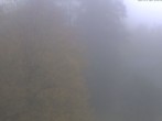 Archiv Foto Webcam Sport- und Wellnesshotel Angerhof 07:00