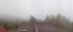 Archived image Webcam Mösern near Seefeld, Tyrol 11:00