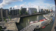 Archiv Foto Webcam Hamburg: HafenCity und Elbphilharmonie 08:00