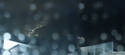 Archiv Foto Webcam Zwölferkogel Hinterglemm 23:00