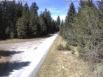 Archived image Webcam Flössweg Carlsfeld 13:00