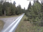 Archived image Webcam Flössweg Carlsfeld 11:00