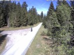 Archiv Foto Webcam Talsperre Carlsfeld 09:00