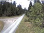 Archiv Foto Webcam Talsperre Carlsfeld 11:00