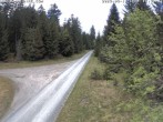 Archiv Foto Webcam Talsperre Carlsfeld 13:00