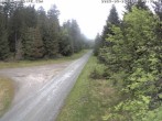Archived image Webcam Flössweg Carlsfeld 09:00