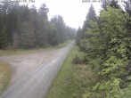Archived image Webcam Flössweg Carlsfeld 11:00
