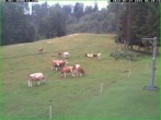 Archiv Foto Webcam Skihang am Buchberg 06:00