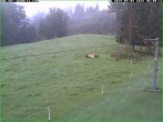Archiv Foto Webcam Skihang am Buchberg 03:00