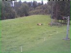 Archiv Foto Webcam Skihang am Buchberg 10:00