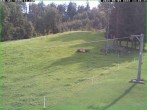 Archiv Foto Webcam Skihang am Buchberg 11:00