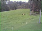 Archiv Foto Webcam Skihang am Buchberg 13:00