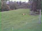 Archiv Foto Webcam Skihang am Buchberg 14:00
