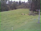 Archived image Webcam Buchberg, Sebnitz 11:00
