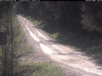 Archiv Foto Webcam Hotel Kranichsee 09:00