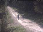 Archived image Webcam Hotel Kranichsee Weitersglashütte 09:00