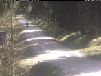 Archiv Foto Webcam Hotel Kranichsee 11:00