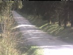 Archived image Webcam Hotel Kranichsee Weitersglashütte 13:00
