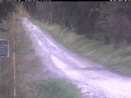 Archiv Foto Webcam Hotel Kranichsee 05:00