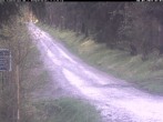Archiv Foto Webcam Hotel Kranichsee 06:00