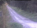 Archiv Foto Webcam Hotel Kranichsee 05:00