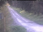 Archiv Foto Webcam Hotel Kranichsee 06:00