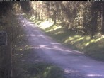 Archiv Foto Webcam Hotel Kranichsee 07:00