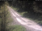 Archiv Foto Webcam Hotel Kranichsee 09:00