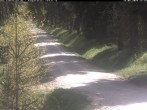 Archiv Foto Webcam Hotel Kranichsee 11:00