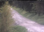Archiv Foto Webcam Hotel Kranichsee 09:00