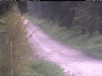 Archiv Foto Webcam Hotel Kranichsee 06:00