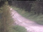 Archiv Foto Webcam Hotel Kranichsee 09:00